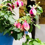 Atico Luz De Station Parking Free Center Apartmán *