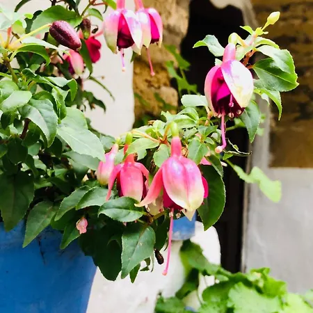 Atico Luz De Station Parking Free Center Apartment *