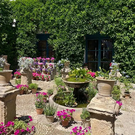 Atico Luz De Station Parking Free Center Apartment *