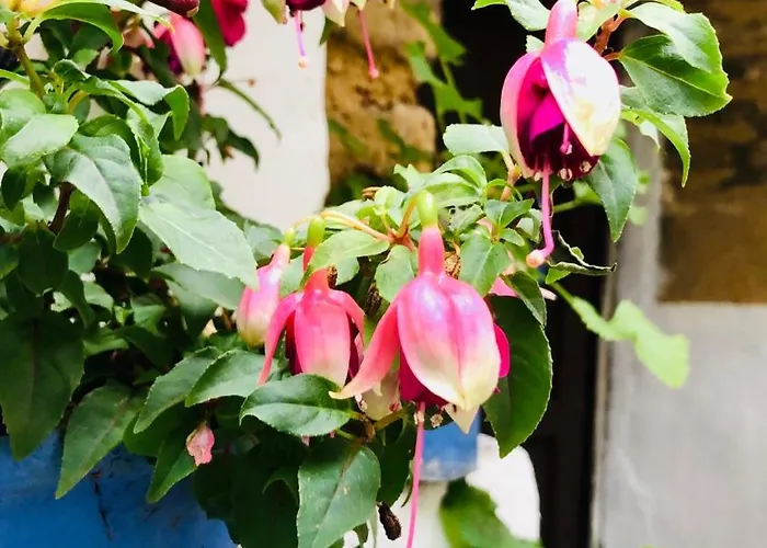 Atico Luz De Station Parking Free Center Appartement *